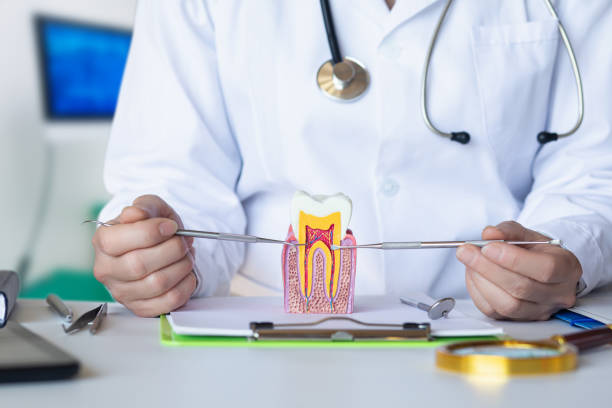 Best Emergency Cosmetic Dentistry in Zilwaukee, MI